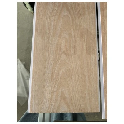 Panell de sostre de PVC Techo PVC