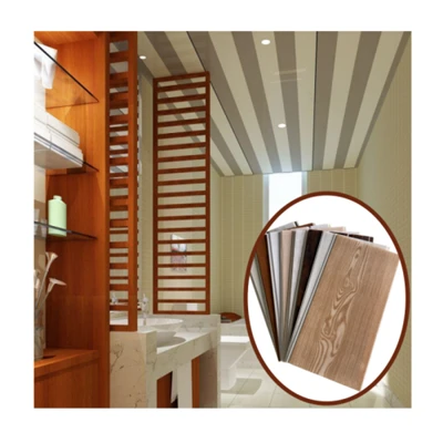 Panell de sostre de PVC Techo PVC